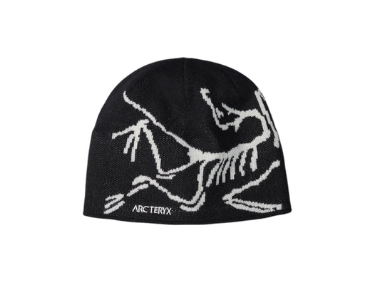 Arc Crest Beanie