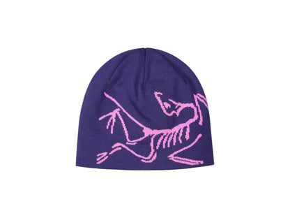 Arc Crest Beanie