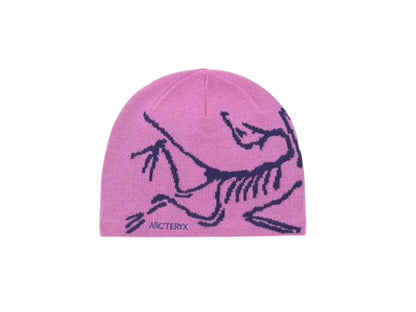 Arc Crest Beanie