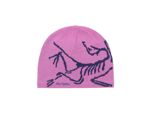 Arc Crest Beanie